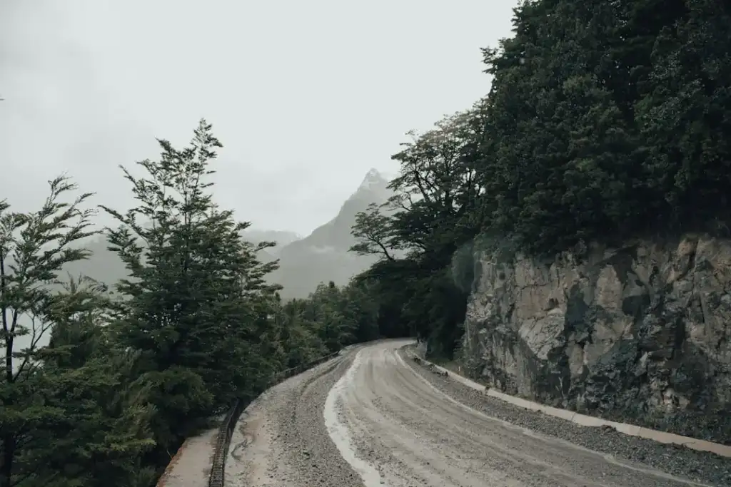איך לשפר מהירות אתר אלמנטור בלי לשבור עיצוב