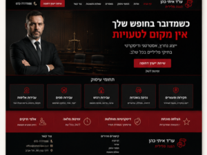 דמו 3 — הגנה פלילית